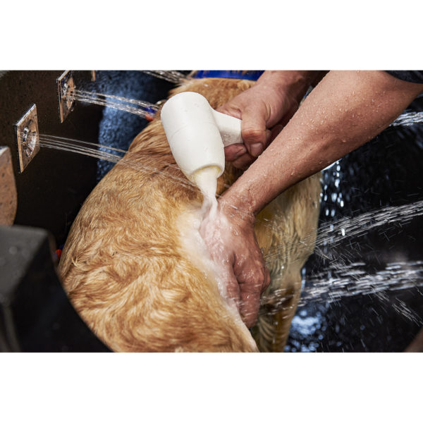 Le nettoyage et la station de toilettage pour chiens à microbulles aident à prévenir les problèmes de peau courants Le nettoyage et la station de toilettage pour chiens à microbulles aident à prévenir les problèmes de peau courants