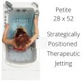 Petite Acrylique Walk-in Tub – 28